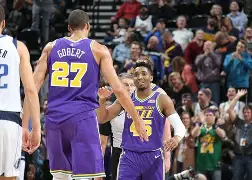 开云平台中国-黄蜂恢复正常状态，主场大胜独行侠的简单介绍